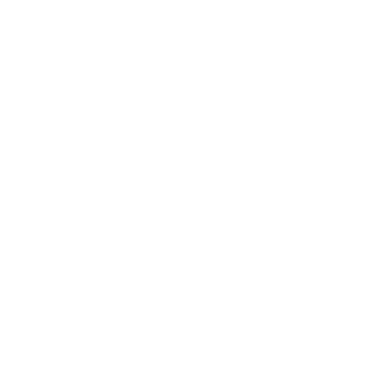 TikTok Logo